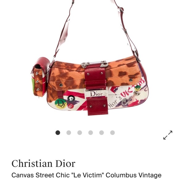 Dior Multicolor Canvas Street Chic Bag - Picture 1 of 14